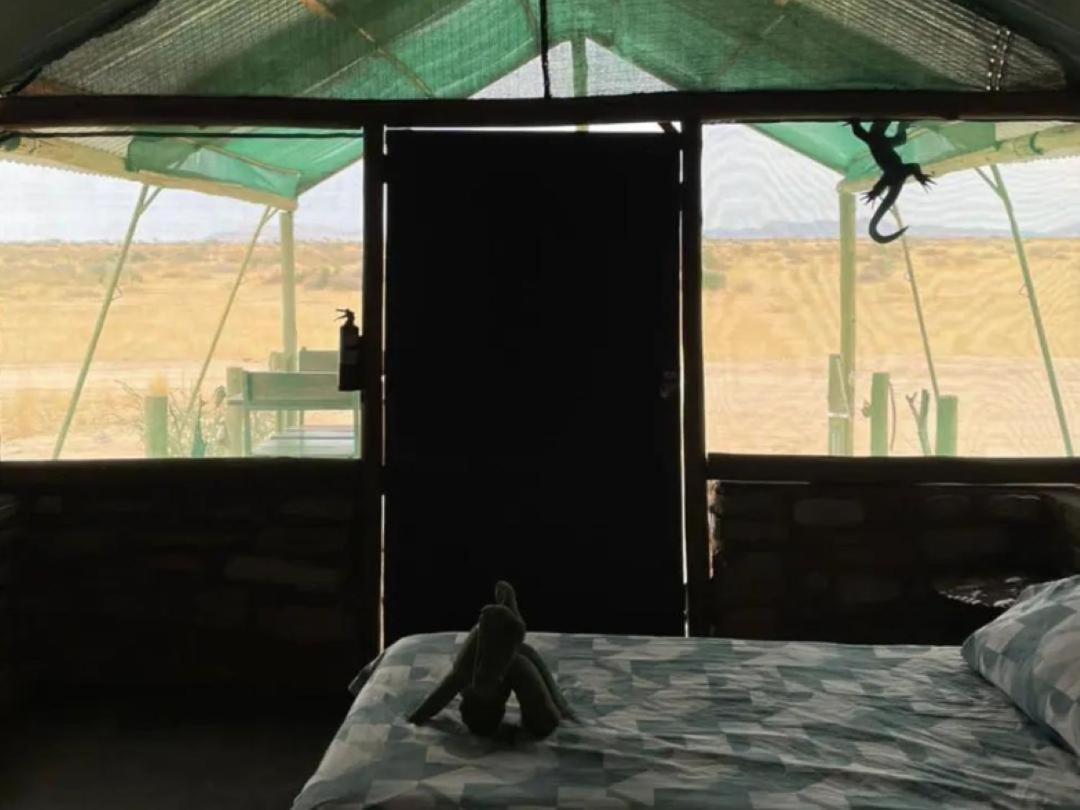 Camp Gecko - Private Nature Reserve; Tented Camp And Campsite سوليتير المظهر الخارجي الصورة