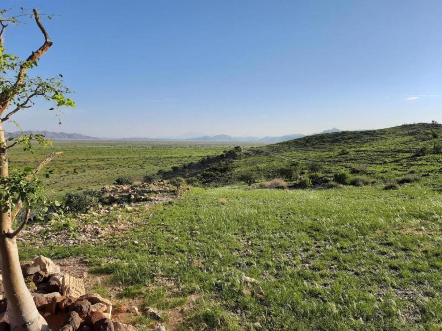 Camp Gecko - Private Nature Reserve; Tented Camp And Campsite سوليتير المظهر الخارجي الصورة