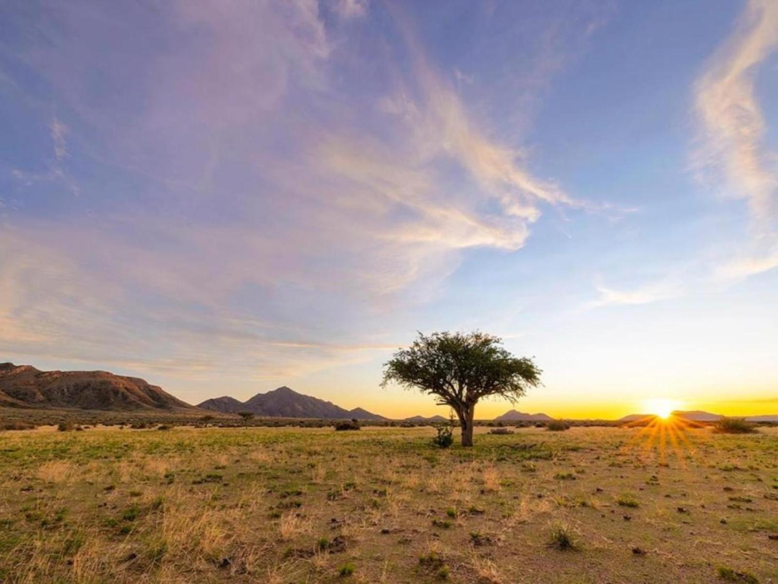 Camp Gecko - Private Nature Reserve; Tented Camp And Campsite سوليتير المظهر الخارجي الصورة