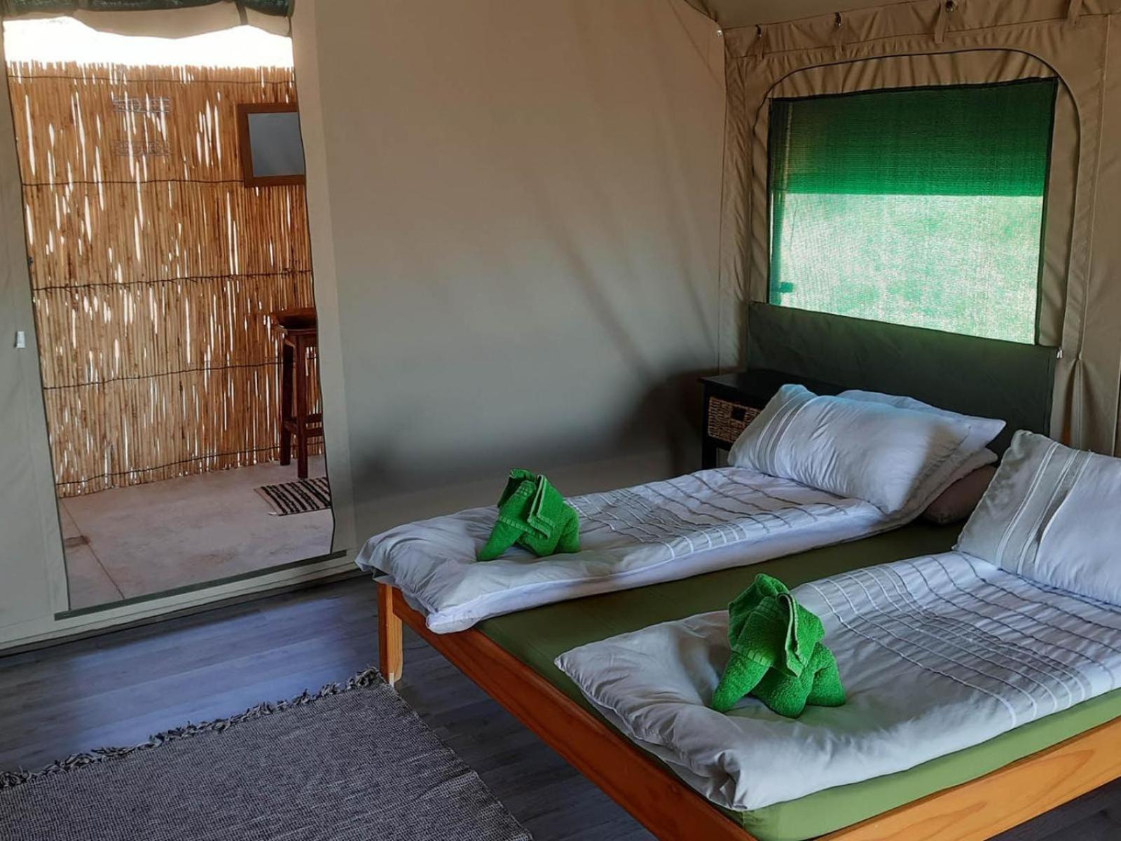 Camp Gecko - Private Nature Reserve; Tented Camp And Campsite سوليتير المظهر الخارجي الصورة