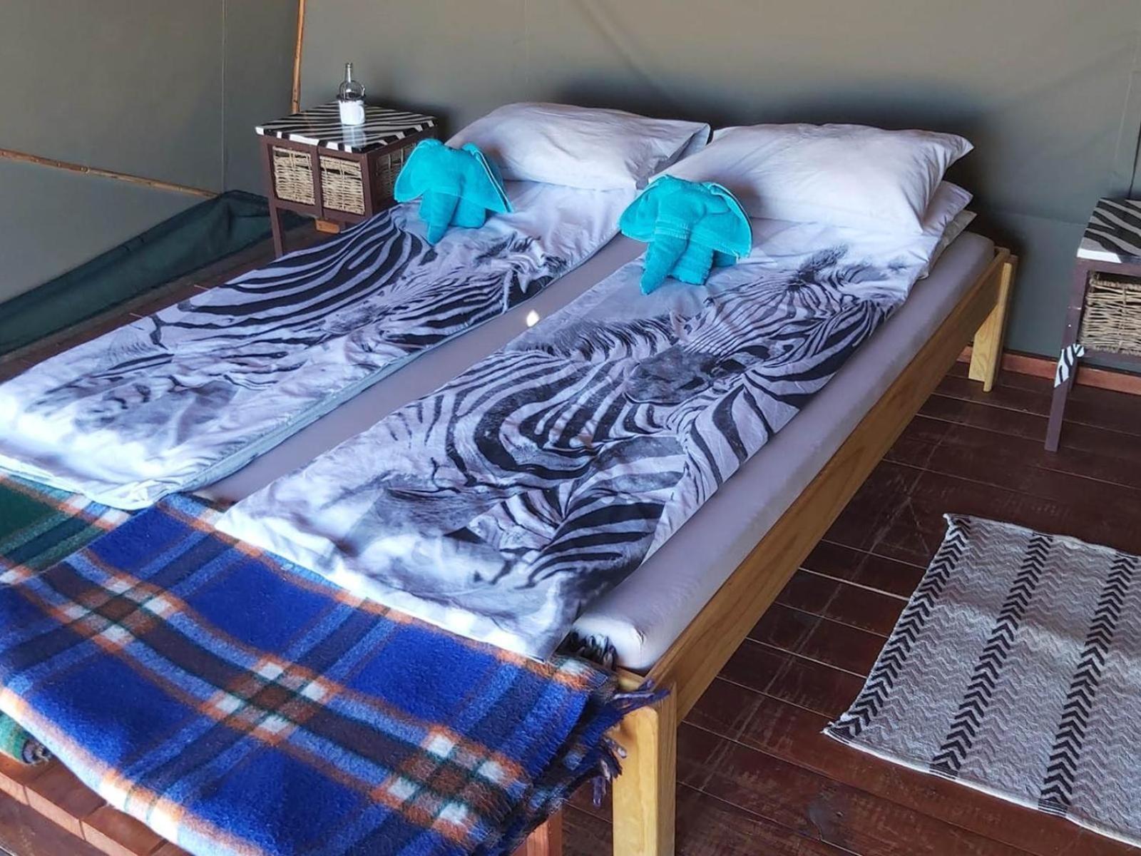 Camp Gecko - Private Nature Reserve; Tented Camp And Campsite سوليتير المظهر الخارجي الصورة