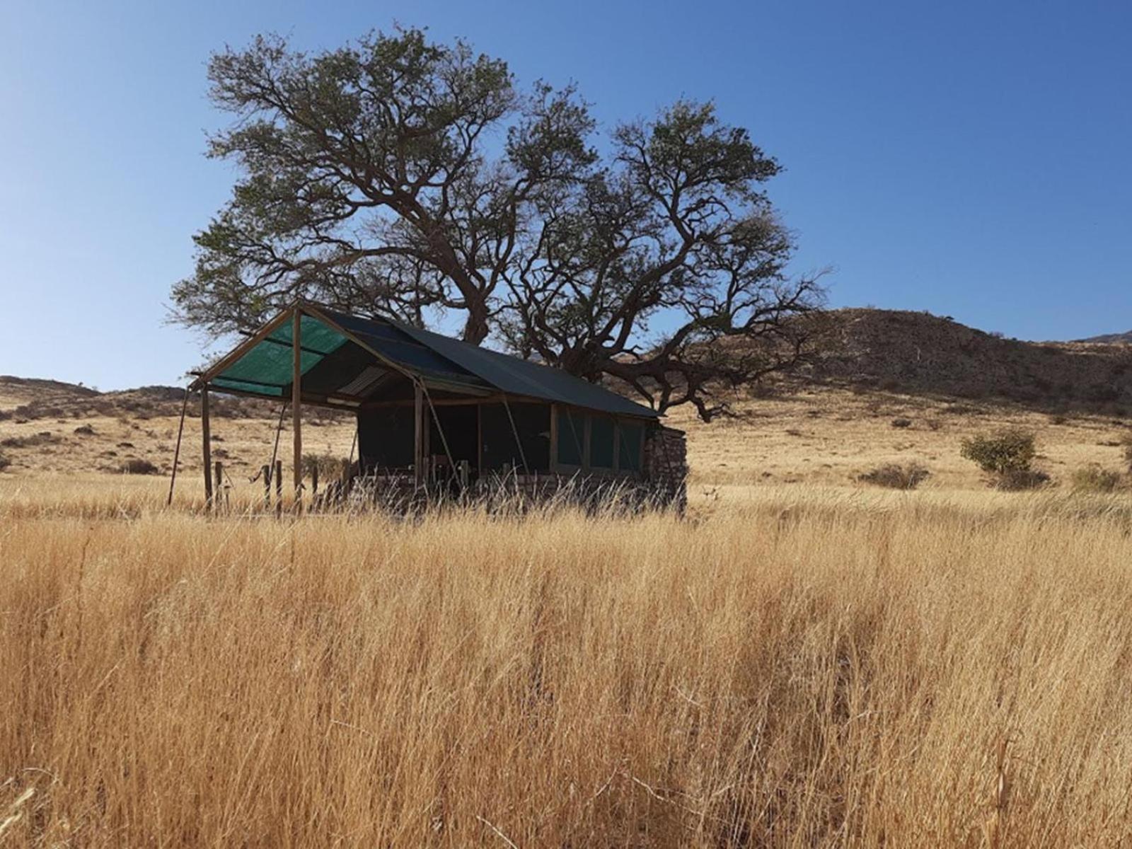 Camp Gecko - Private Nature Reserve; Tented Camp And Campsite سوليتير المظهر الخارجي الصورة
